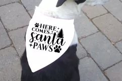 Here comes santa paws SVG, Christmas Dog SVG Product Image 3