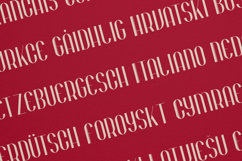 Bohem Elegant Art Deco Display Font Product Image 3