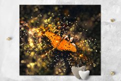 Mystic Butterfly | skinny tumbler Sublimation design bundle Product Image 3