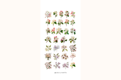 Watercolor Apple Blossoms Clipart Bundle Product Image 3