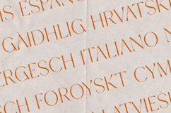 Espial Serif Font Luxury Art Deco Display Typeface Product Image 3