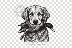 Golden Retriever Duck Hunting Dog Product Image 3