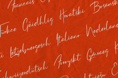 Clementine Handwritten Script Font Product Image 3