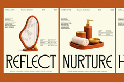 Veloster - Logo Serif Branding Font Product Image 3