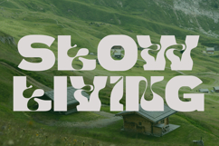 NIIKA - Combination Font Product Image 3