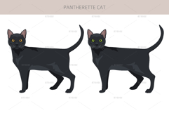 Pantherette cat clipart Product Image 3