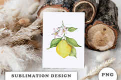 Watercolor Lemons composition png Product Image 3