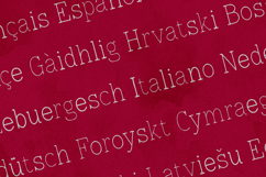 Lonely Moon Elegant Serif Font Product Image 3