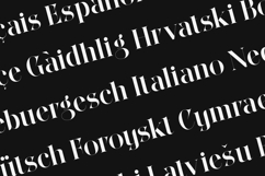 Wonderz Vogue Elegant Fashion Serif Font Product Image 3