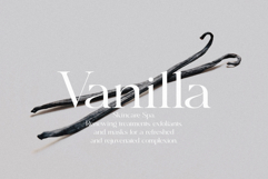 Anomaly - Elegant Serif Product Image 7