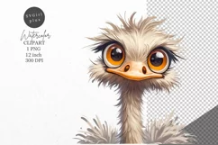Ostrich clipart, Bird clipart, Funny clipart Product Image 1