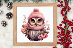 Christmas Owl Clipart, Christmas Owl Clipart, Christmas Owl Product Image 3