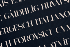 Huova Elegant Modern Serif Font Product Image 3