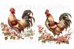 Chicken, Clipart, Ephemera, PNG, Junk journal, Shabby Chic Product Image 3