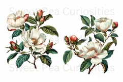 Flowers, Clipart, Ephemera, PNG, Junk journal Product Image 3