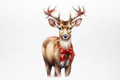 Pink Christmas Collection Sublimation PNG Product Image 3