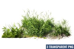 Spring Grass Overlays Clipart, Product Image 1