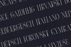 Thorn Tale Whisper Edition Elegant Serif Font Product Image 3