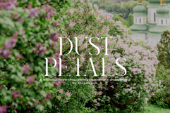 Royal Garden - Unique Semi Serif Product Image 3