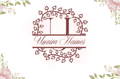 Wild Fern Split Monogram - Rustic Botanical Serif Font Product Image 2