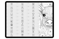 40 Woodland Animals Procreate Stamp Brushes Product Image 4