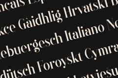 Black Goose Elegant Modern Serif Product Image 3