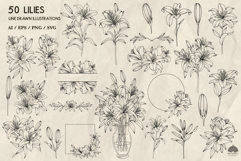 Lilies line art collection Svg Png Eps Product Image 3