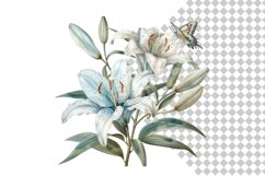 White Lily Flower Clipart, Watercolor Floral Wedding Product Image 3