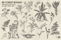 Forest Botany line art collection Svg Png Eps Product Image 3