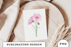 Watercolor Cosmos Flowers Bouquet png Product Image 3