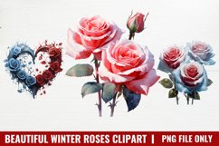 Beautiful Winter Roses Clipart, Christmas Rose Clipart Product Image 1