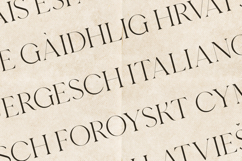 Esque Elegant Modern Serif Font Product Image 3