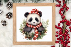 Panda Christmas Sublimation Clipart, Panda Christmas Clipart Product Image 3