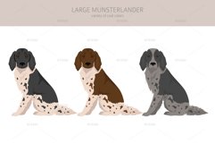 Large Munsterlander clipart Product Image 3