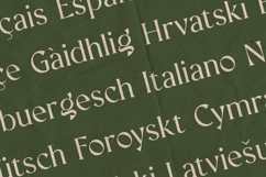 Creators Type Organic Editorial Serif Font Product Image 3