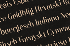 Black Goose Elegant Luxury Serif Font Product Image 3