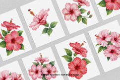 15 Bundle Watercolor Hibiscus Flower Blossom Hawaiian Floral Product Image 3