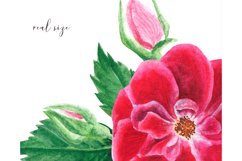 Border clipart watercolor #w156 Product Image 4