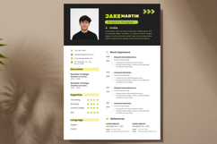 27 Vibrant Designer CV - Canva Product Image 3
