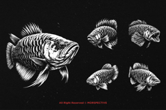 10 Bundle Dark Art Arowana Fish Dragon Fish Predator Aquatic Product Image 5