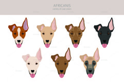 Africanis clipart Product Image 3