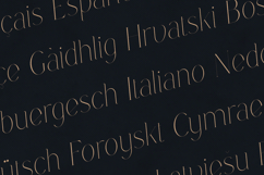 Boketto Delicate Elegant Luxury Serif Font Product Image 3
