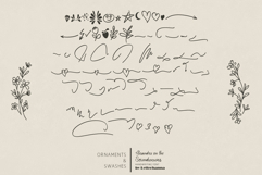 Aleandra on the Soundwaves Handwritten Font Product Image 7