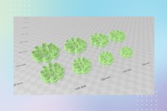 Flower 10 Clay Cutter - Floral Botanical STL Product Image 3