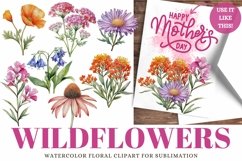 Wildflowers Watercolor Clipart Designs for Sublimation Product Image 1