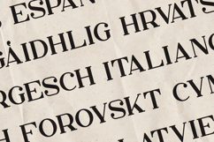 Bungalow Headline Edition Product Image 3