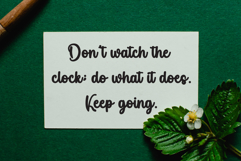 Pumpkin Midnight Product Image 3