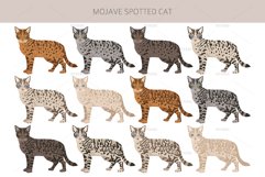 Mojave Spotted cat Product Image 2