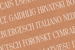 Maturation Elegant Serif Font Family Dots Edition Product Image 3