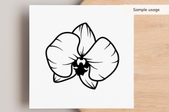 Orchid Flower SVG Product Image 3